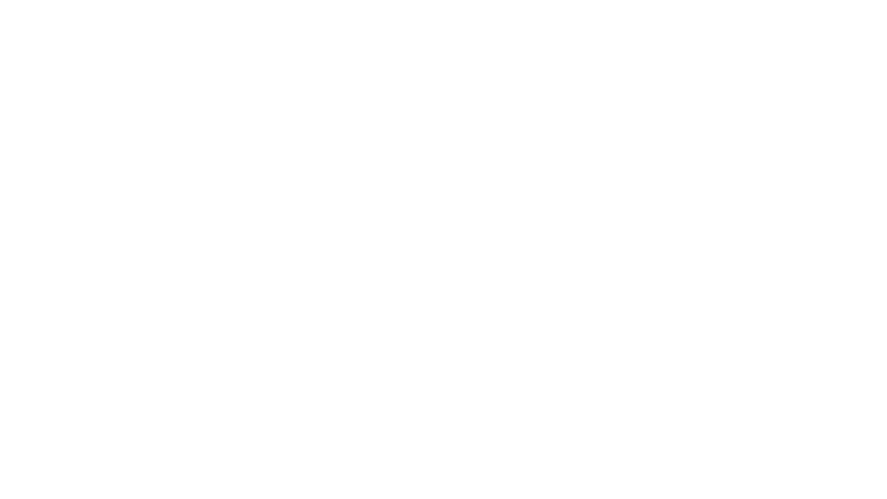 Zıpır Dedektif Ve Altın Arı Kovanı