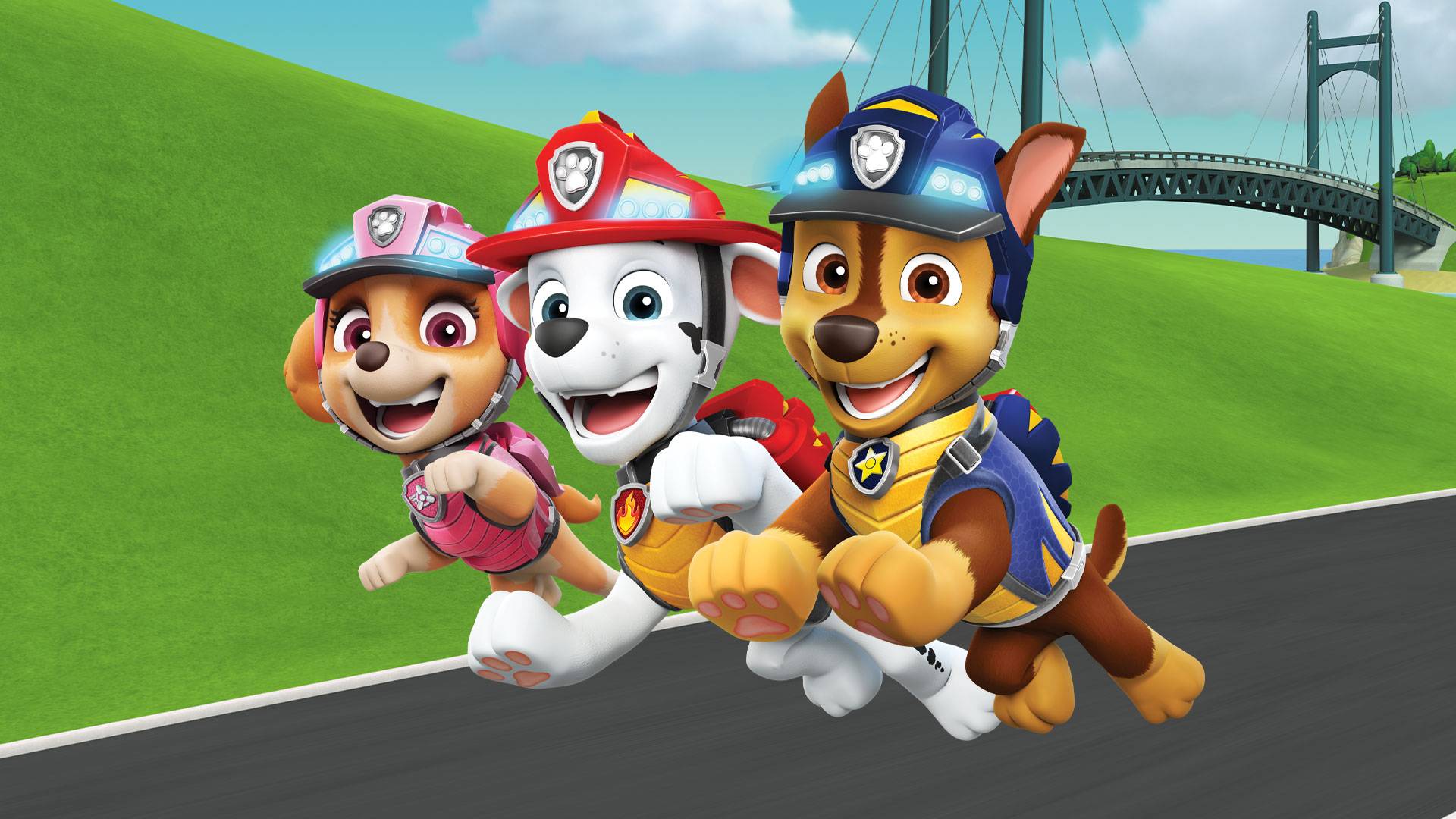 Paw Patrol S08 B14